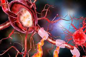 La relación tienen los neurotransmisores con la ansiedad y la depresión. Ansiedad, depresión, estrés, como combatir la ansiedad, como combatir la depresión, frenar la ansiedad, nervio vago, técnicas de relajación