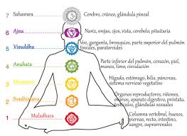 Métodos para la activación de la glándula pineal para su buen funcionamiento y así poder tener una buena salud. como se frena la ansiedad, como tratar la ansiedad, ansiedad al dormir, depresión, el estrés, somos lo que comemos, la importancia de la alimentación,